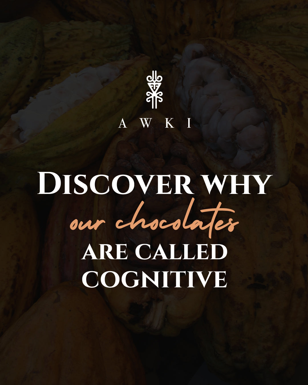 THE POWER OF CACAO