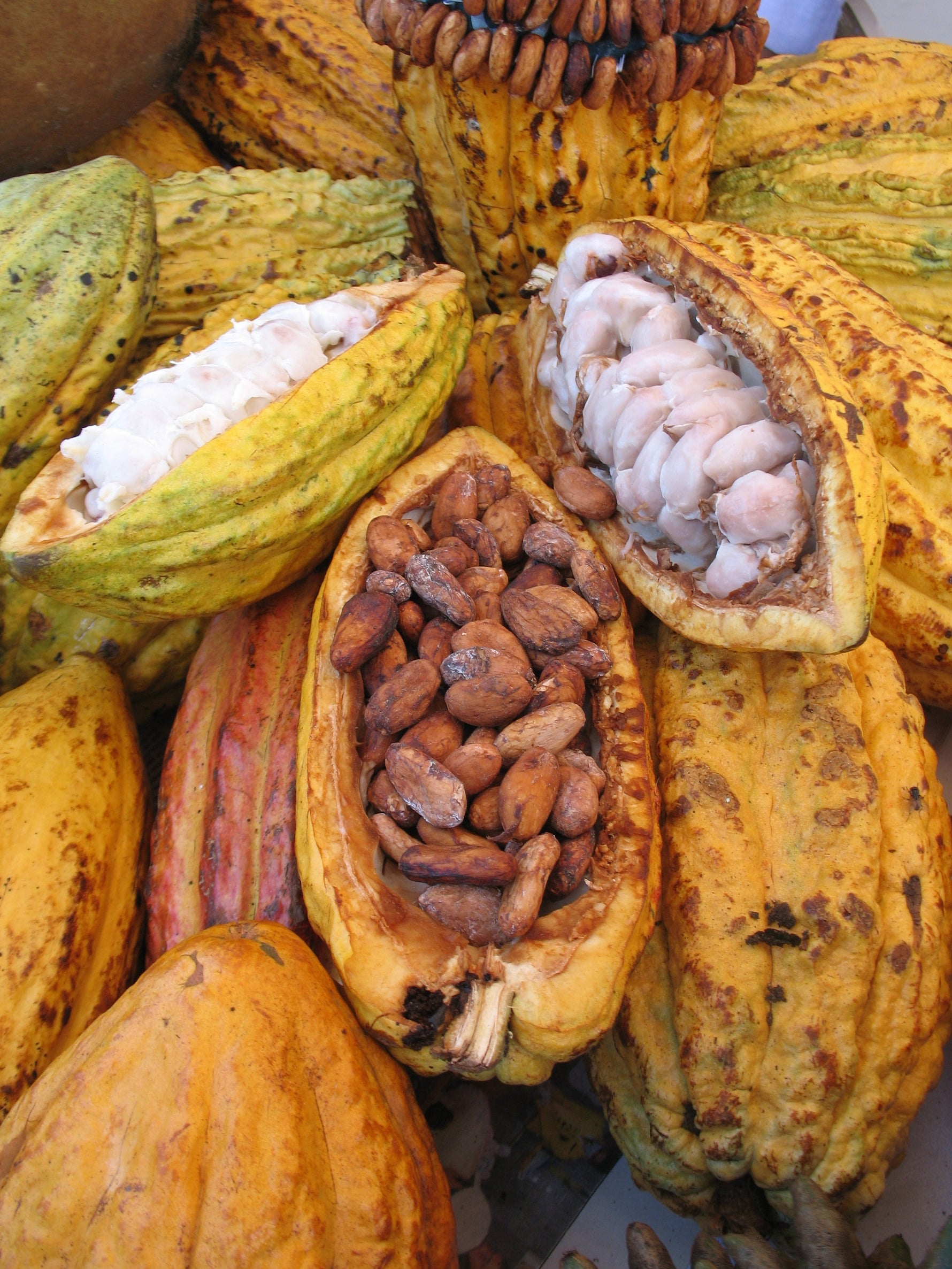 Why cacao’s “love chemical” is just the beginning