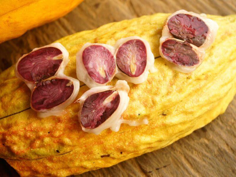 Why cacao is good for your heart