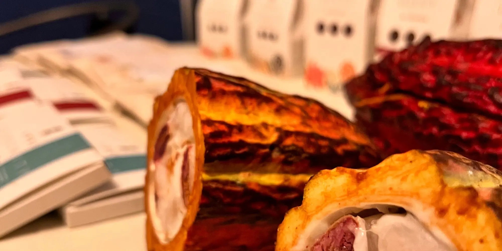 Close-up of fresh cacao fruit in front of Awki chocolate products, showcasing the connection from seed to ceremony