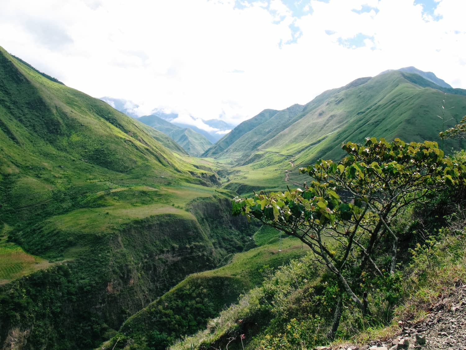 Scenic view of the Andes Mountains and lush valleys in Ecuador