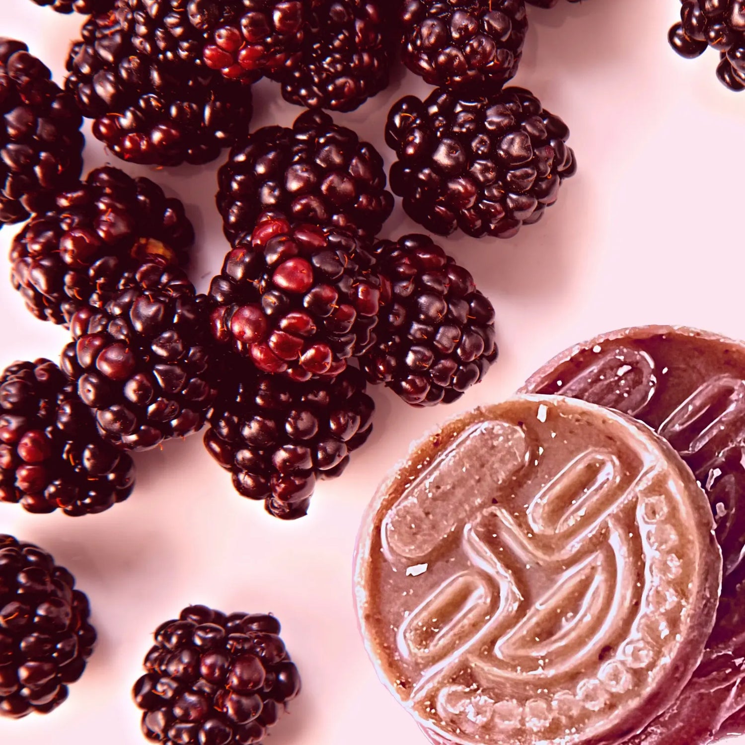 Close-up of fresh blackberries next to Awki vegan cacao coins, highlighting the natural ingredients in the Divvy chocolate blend